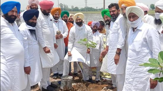SAD (Sanyukt) leader and former Punjab finance minister Parminder Singh Dhindsa kicked off a statewide greenery drive by planting saplings at Mastuana Sahib, around 10 kilometers from Sangrur, on Monday. (HT Photo) SAD (Sanyukt) leader and former Punjab finance minister Parminder Singh Dhindsa kicked off a statewide greenery drive by planting saplings at Mastuana Sahib, around 10 kilometers from Sangrur, on Monday. (HT Photo)