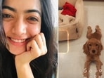 Rashmika Mandanna's upcoming Hindi film Goodbye also stars Amitabh Bachchan. Rashmika Mandanna's upcoming Hindi film Goodbye also stars Amitabh Bachchan.