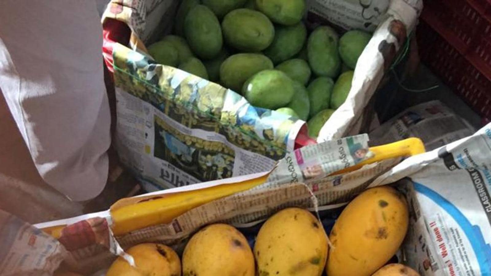 Bihar exports GItagged mangoes to London Latest News India