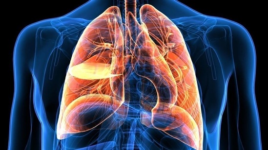 New research finds compound that blocks Covid-19 virus and protects lung cells (Shutterstock) New research finds compound that blocks Covid-19 virus and protects lung cells (Shutterstock)
