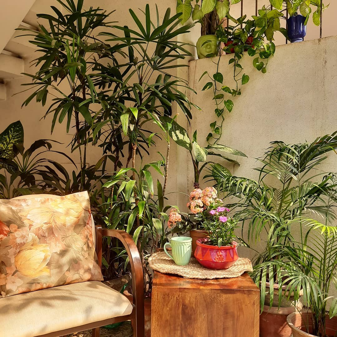 Balcony gardens make for a peaceful shelter from life’s stress. (Instagram/vibrant_vibes87)