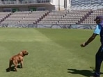 Ravi Shastri playing with a dog named Winston.