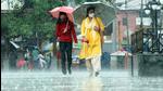 Women walk with their umbrellas as showers lash Mandi on Wednesday. (Birbal Sharma/HT) Women walk with their umbrellas as showers lash Mandi on Wednesday. (Birbal Sharma/HT)