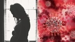 The analysis of data on nearly 4,000 Covid-positive women for the study was done in the Mumbai-based institute(Pixabay)