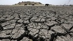 2021 Desertification and Drought Day: The United Nations has put the focus on turning degraded land into healthy land. (File Photo / REUTERS) 2021 Desertification and Drought Day: The United Nations has put the focus on turning degraded land into healthy land. (File Photo / REUTERS)