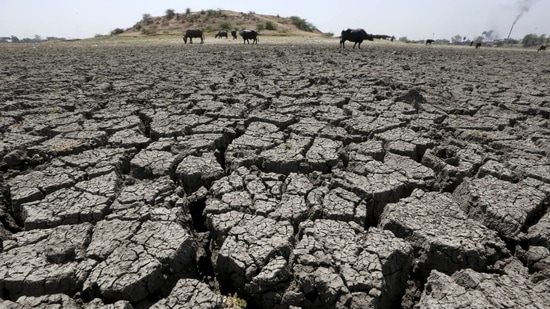 2021 Desertification and Drought Day: The United Nations has put the focus on turning degraded land into healthy land. (File Photo / REUTERS) 2021 Desertification and Drought Day: The United Nations has put the focus on turning degraded land into healthy land. (File Photo / REUTERS)