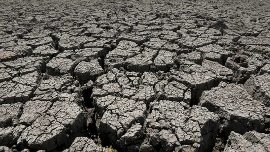 Nagaland is hit by drought-like situation (File Photo / REUTERS) Nagaland is hit by drought-like situation (File Photo / REUTERS)