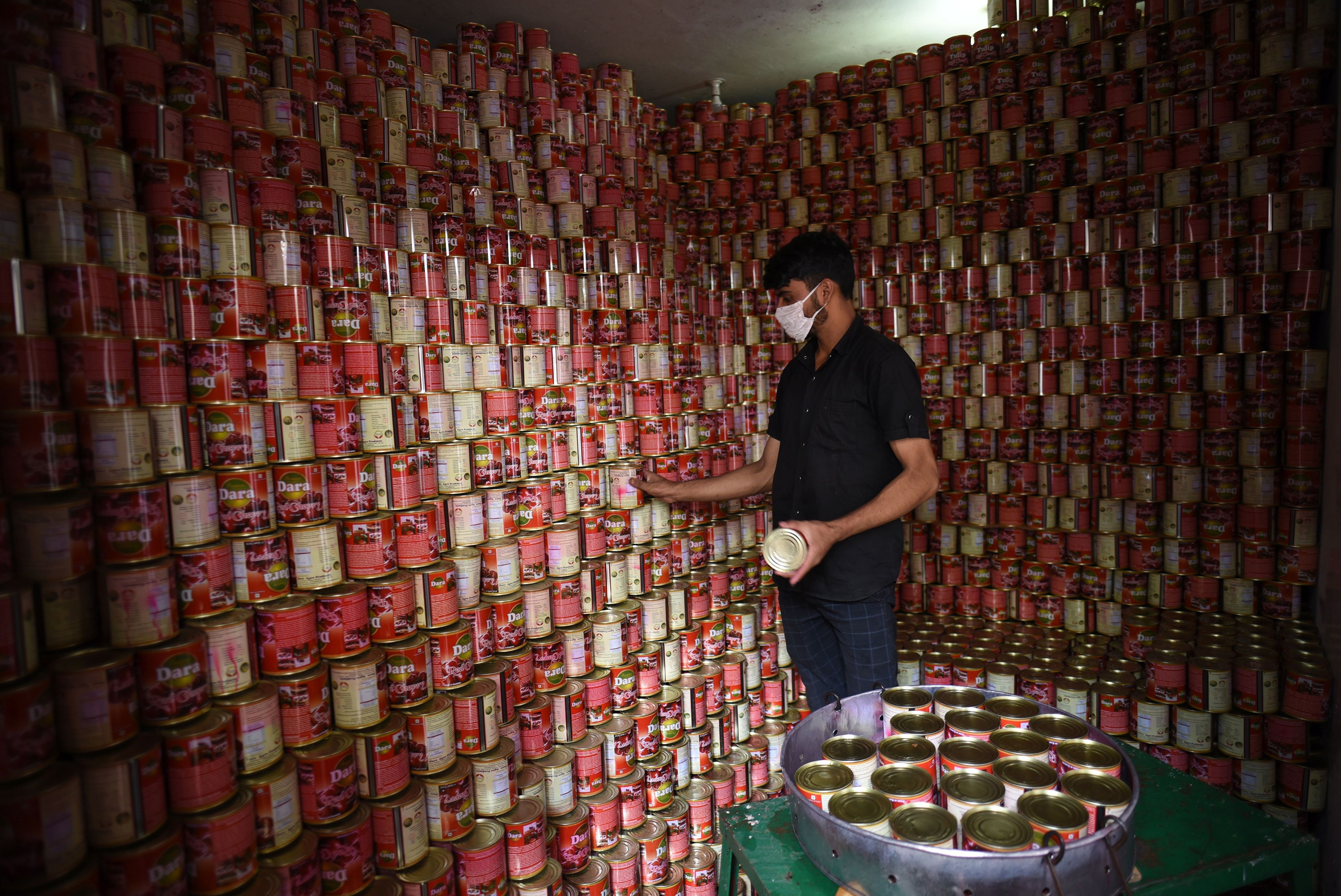 Srinagar, India – June 16: A worker arranges cherry packaging containers in a processing unit before being sent to the market, on the outskirts of Srinagar, Jammu and Kashmir, India, on Wednesday, June 16, 2021. ( Waseem Andrabi/ Hindustan Times)