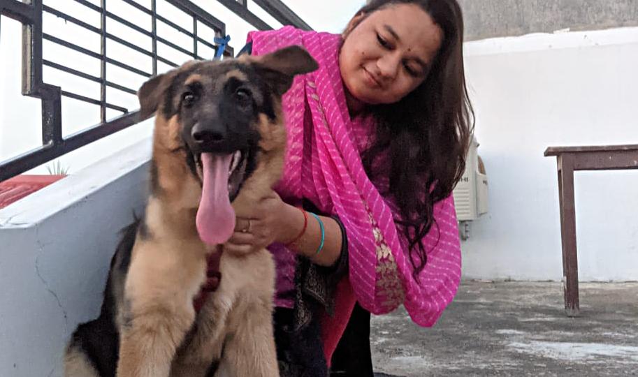Pandemic-induced curbs have only added to challenges of individuals who got their first pet in recent months Pandemic-induced curbs have only added to challenges of individuals who got their first pet in recent months