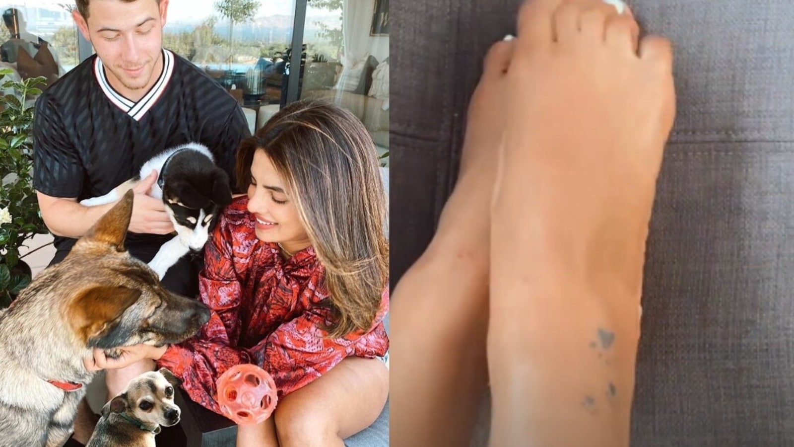 Priyanka Chopra reveals her 'summer tattoo', dedicates new ink to her pet dogs. See pic ...