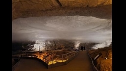 A picture of the fog that was seen at the Mammoth Cave in USA.