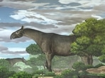 Paraceratherium linxiaense giant rhinos in the Linxia Basin during the Oligocene.