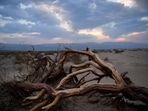 Branches rest along sand dunes as clouds pass overhead at sunset inside Death Valley National Park on June 17, 2021, in Inyo County, California. (AFP) Branches rest along sand dunes as clouds pass overhead at sunset inside Death Valley National Park on June 17, 2021, in Inyo County, California. (AFP)