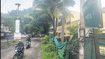 This road in lane number one in Karvenagar has been proposed for widening. Residents fear the trees will be cut. (Pratham Gokhale/HT Photo) This road in lane number one in Karvenagar has been proposed for widening. Residents fear the trees will be cut. (Pratham Gokhale/HT Photo)
