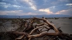 Branches rest along sand dunes as clouds pass overhead at sunset inside Death Valley National Park on June 17, 2021, in Inyo County, California. (AFP) Branches rest along sand dunes as clouds pass overhead at sunset inside Death Valley National Park on June 17, 2021, in Inyo County, California. (AFP)