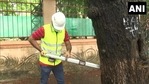 rihanmumbai Municipal Corporation appointed a tree surgeon to protect vulnerable trees.(Twitter/@ANI) rihanmumbai Municipal Corporation appointed a tree surgeon to protect vulnerable trees.(Twitter/@ANI)