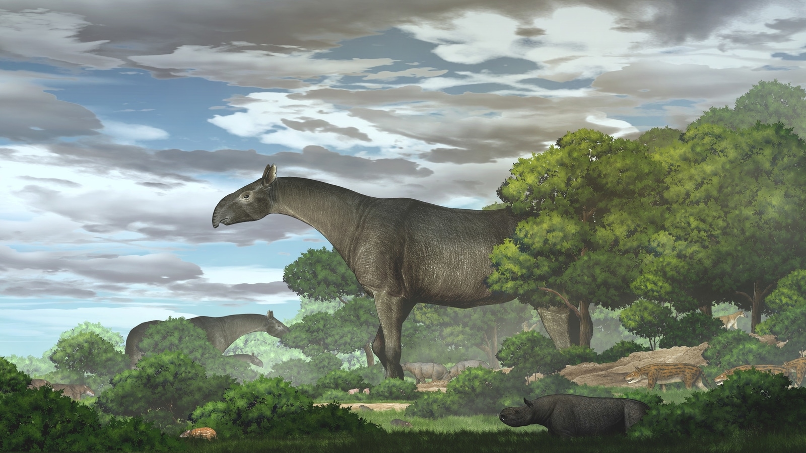 Fossils found in China show new species of extinct giant rhino that