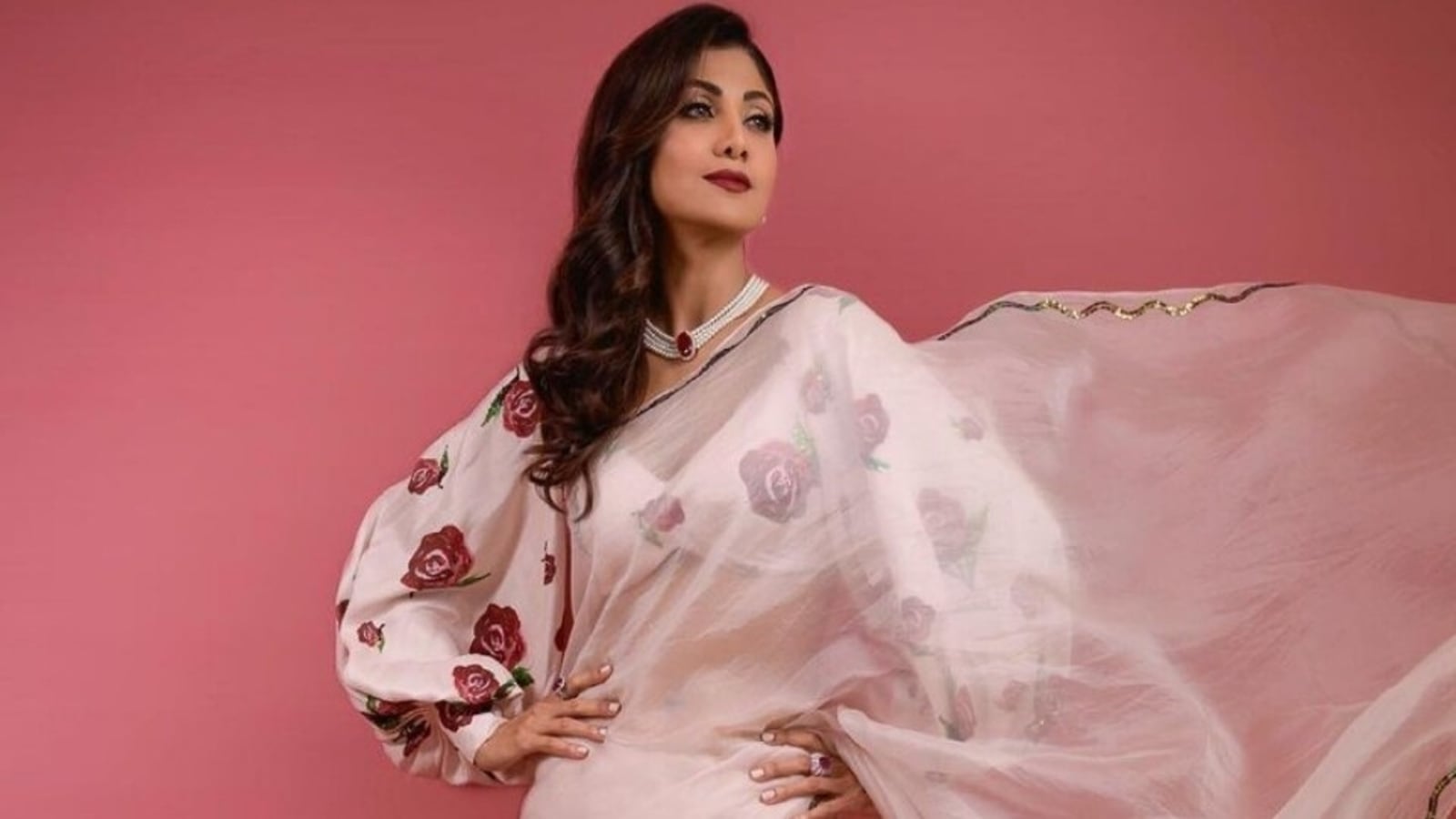 Organza Saree: 10 Best Organza Sarees for Women in India For Stylish Look  in 2024 - The Economic Times