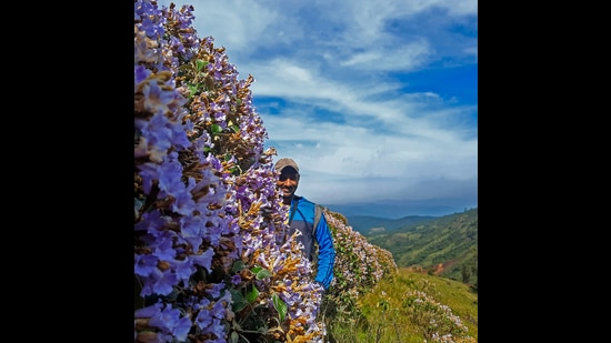 Godwin Vasanth Bosco with the rare golden Kurinji. The plant flowers once in nine years and is endemic to just a few hilltops in the Nilgiris. (Ganesh G)