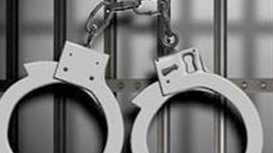 Loni case: Police arrest man accused of filming assault Loni case: Police arrest man accused of filming assault