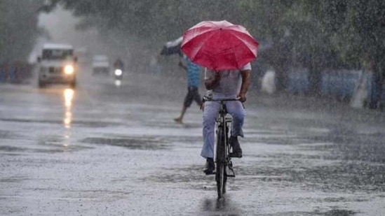 IMD issued a rainfall alert for UP on Saturday morning. (File Photo)
