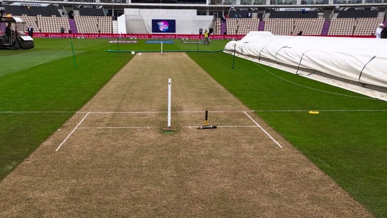 Here's how the pitch looks like ahead of the start of the WTC final. (BCCI)