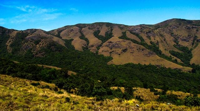 The Nilgiri plateau is a 5,000-sq-km tableland in the Nilgiri biosphere characterised by a mosaic of shola forests and grasslands. (Godwin Vasanth Bosco)