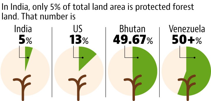 Where the wild things are: Take a walk inside India’s private forests Where the wild things are: Take a walk inside India’s private forests