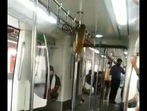Monkey inside a Delhi Metro coach.