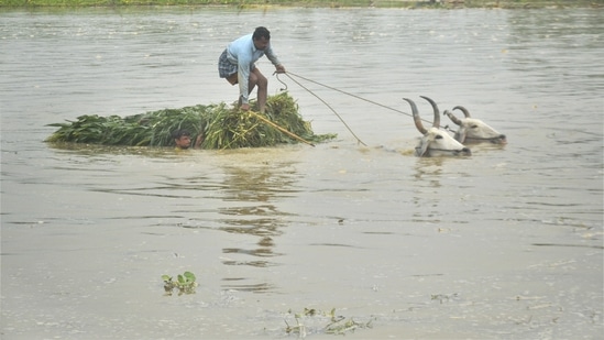 East Uttar Pradesh and Bihar will experience Moderate to severe thunderstorms accompanied by frequent cloud to ground lightning during the next 24 hours. (PTI) East Uttar Pradesh and Bihar will experience Moderate to severe thunderstorms accompanied by frequent cloud to ground lightning during the next 24 hours. (PTI)