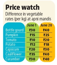 Rising fuel rates in Punjab push vegetable prices up in Chandigarh Rising fuel rates in Punjab push vegetable prices up in Chandigarh