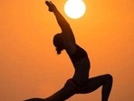 This year’s theme for the event is “Yoga for Wellness”. This year’s theme for the event is “Yoga for Wellness”.
