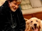 Amitabh Bachchan is currently shooting for his new film, Goodbye in Mumbai. Amitabh Bachchan is currently shooting for his new film, Goodbye in Mumbai.