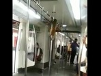 Monkey inside a Delhi Metro coach.