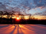 Summer Solstice is also referred to as Midsummer, First Day of Summer, June solstice (in the Northern Hemisphere) and the longest day of the year.(Representative Photo) Summer Solstice is also referred to as Midsummer, First Day of Summer, June solstice (in the Northern Hemisphere) and the longest day of the year.(Representative Photo)