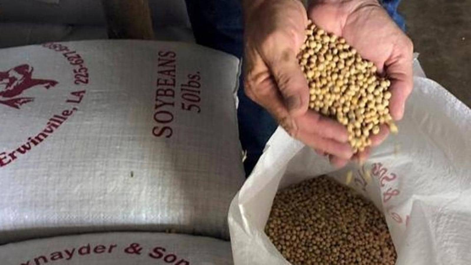 Row over soybean seeds ‘shortage’ in MP, farmers allege black marketing