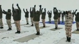 A clip of the ITBP personnel celebrating the International Yoga Day occasion was posted by news agency ANI on Twitter from its official handle. 
