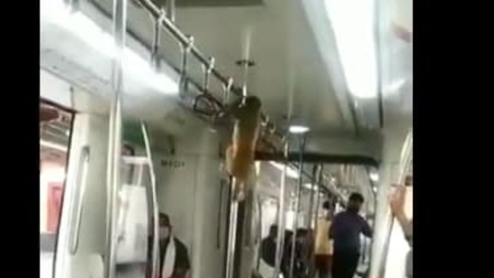 Monkey inside a Delhi Metro coach.(Twitter/@Paramjitdhillon)