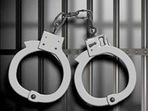 The airline staff alerted the CISF personnel who caught Pandey and handed him over to the police, the DCP said. The airline staff alerted the CISF personnel who caught Pandey and handed him over to the police, the DCP said.