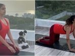 Keerthy Suresh does yoga flow in new video, says control what goes on inside(Instagram/@keerthysureshofficial) Keerthy Suresh does yoga flow in new video, says control what goes on inside(Instagram/@keerthysureshofficial)