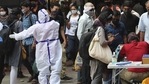 The WHO recommends that test positivity should remain at 5% or lower for 14 days before countries or regions reopen.(AP) The WHO recommends that test positivity should remain at 5% or lower for 14 days before countries or regions reopen.(AP)