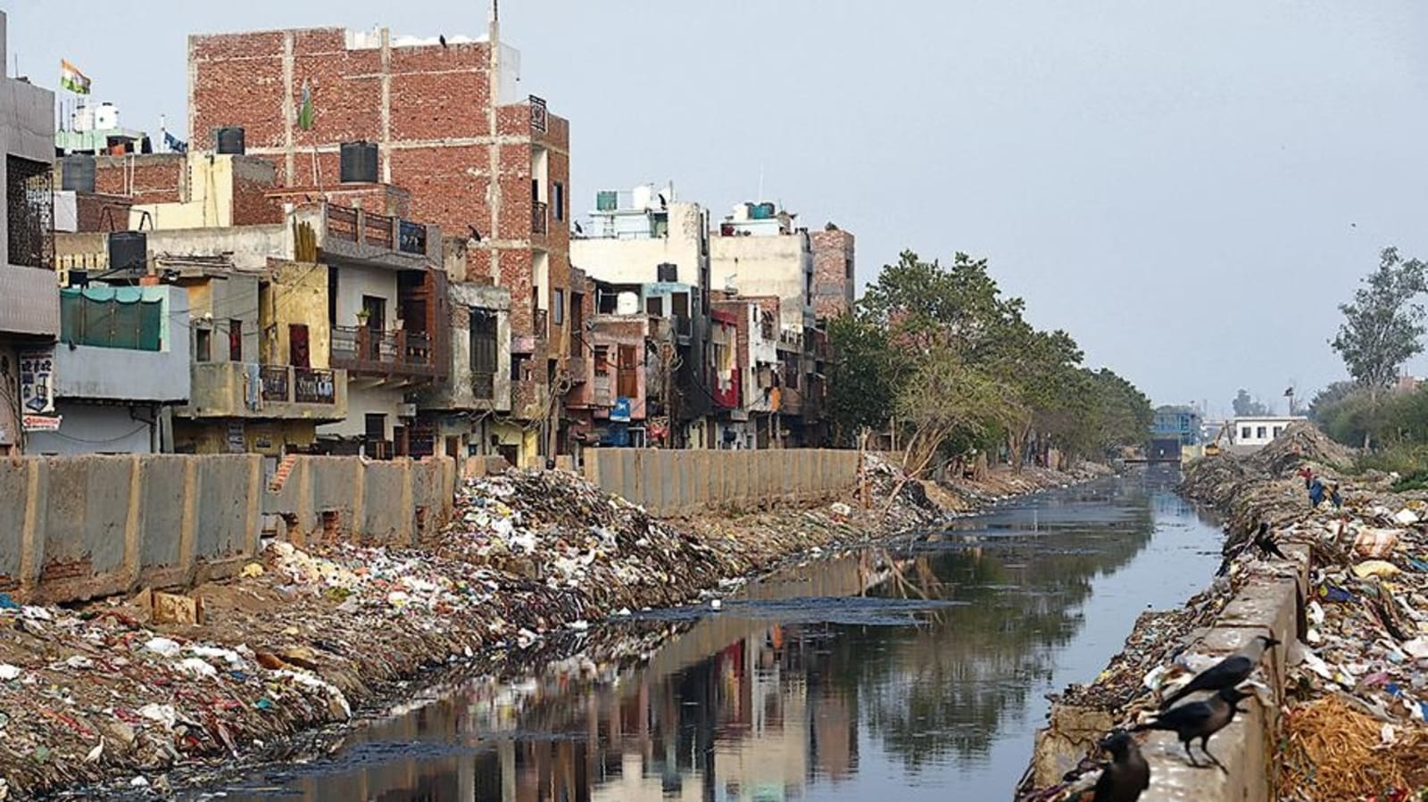 Delhi govt plans check dams on major drains to trap pollutants