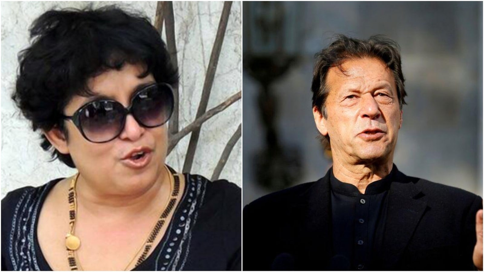 It's common sense': Taslima Nasreen takes dig at Imran Khan's remark on  sexual violence | World News - Hindustan Times