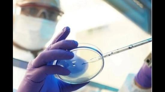 On June 20, a 62-year-old Covid survivor had been diagnosed with green fungus. (Representational photo) On June 20, a 62-year-old Covid survivor had been diagnosed with green fungus. (Representational photo)