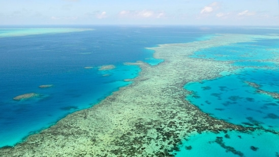 Australia said it will fight Unesco recommendation for the Great Barrier Reef to be listed as in danger of losing its World Heritage Site status.(AP)