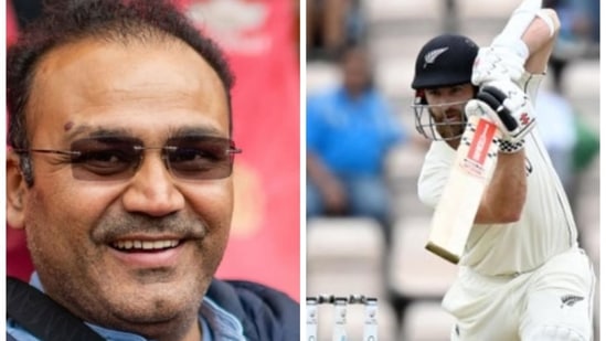 Virender Sehwag and Kane Williamson in action during WTC Final. (HT COLLAGE) Virender Sehwag and Kane Williamson in action during WTC Final. (HT COLLAGE)