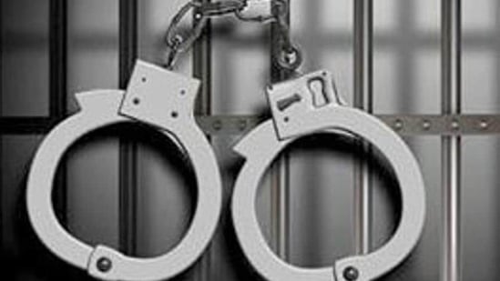 The airline staff alerted the CISF personnel who caught Pandey and handed him over to the police, the DCP said. (Representational image) The airline staff alerted the CISF personnel who caught Pandey and handed him over to the police, the DCP said. (Representational image)