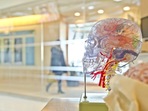 Brain samples from 14 people who died of other causes were used as controls for the study.(File photo/ Representative image)