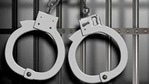 Divisional forest officer (DFO) of Patna, Ruchi Singh, said the raid was carried out on a tip-off. Divisional forest officer (DFO) of Patna, Ruchi Singh, said the raid was carried out on a tip-off.