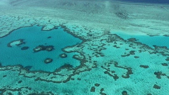 The UN body released a draft report on Monday recommending the reef's World Heritage status be downgraded because of its dramatic coral decline, after years of public threats to do so. (AFP File Photo) The UN body released a draft report on Monday recommending the reef's World Heritage status be downgraded because of its dramatic coral decline, after years of public threats to do so. (AFP File Photo)